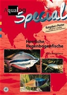 Harro Hieronimus - Herrliche Regenbogenfische