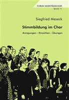Siegfried Meseck - Stimmbildung im Chor