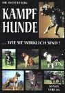 TERRA Kopiervorlagen Natur- und Umweltkatastrophen, m. CD-ROM