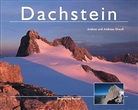 Andrea Strauß, Andrea und Andreas Strauss, Andreas Strauß - Dachstein