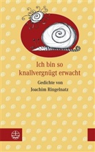 Joachim Ringelnatz, Urte von Maltzahn-Lietz - Ich bin so knallvergnügt erwacht