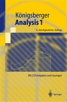Konrad Königsberger - Analysis 1. Bd.1