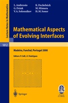 Luig Ambrosio, Luigi Ambrosio, Klau Deckelnick, Klaus Deckelnick, Gerhard Dziuk, Gerhard e Dziuk... - Mathematical Aspects of Evolving Interfaces