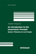 Sundaram Thangavelu - An Introduction to the Uncertainty Principle