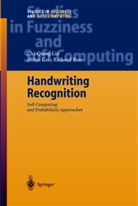 R. Buse, Richard Buse, J.-H. Cai, Jin-Ha Cai, Jin-Hai Cai, Z.-Q. Liu... - Handwriting Recognition