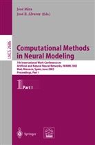 J. R. Alvarez, José R. Álvarez, J. Mira, José Mira - Computational Methods in Neural Modeling