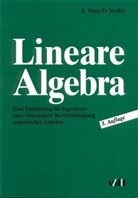 Kaspar Nipp, Daniel Stoffer - Lineare Algebra