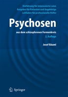 Josef Bäuml - Psychosen aus dem schizophrenen Formenkreis