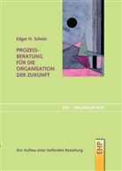 Edgar H Schein, Edgar H. Schein - Prozessberatung für die Organisation der Zukunft