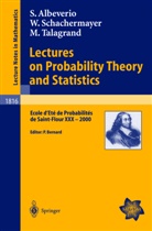 Sergio Albeverio, Walter Schachermayer, Michel Talagrand, Pierre Bernard - Lectures on Probability Theory and Statistics