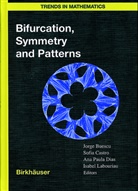 Jorge Buescu, Paulo M. S. T. Castro, Paulo M. S. T. de Castro, Sofia Castro, Sofia B. S. D. Castro, Paulo M. S. T. de Castro... - Bifurcation, Symmetry and Patterns