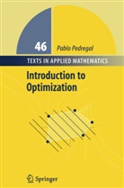 Pablo Pedregal - Introduction to Optimization