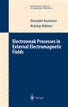 A. Kuznetsov, Alex V. Kuznetsov, Alexande Kuznetsov, Alexander Kuznetsov, N. Mikheev, Nickolay Mikheev - Electroweak Processes in External Electromagnetic Fields