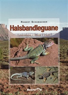 Robert Schumacher - Halsbandleguane