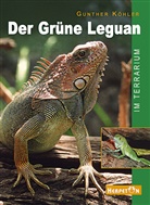 Gunther Köhler - Der Grüne Leguan im Terrarium