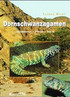 Thomas Wilms, Thomas M. Wilms - Dornschwanzagamen