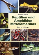 Gunther Köhler - Reptilien und Amphibien Mittelamerikas - 2: Reptilien und Amphibien Mittelamerikas / Reptilien und Amphibien Mittelamerikas
