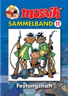 Klaus D. Schleiter - Mosaik Sammelband - Bd.11: MOSAIK Sammelband 011 Softcover