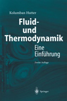 Kolumban Hutter - Fluid- und Thermodynamik