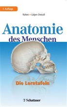 Elke LÃ¼tjen-Drecoll, Lütjen-Drecoll, Elke Lütjen-Drecoll, Rohe, Johannes Rohen, Johannes W. Rohen... - Anatomie des Menschen, Die Lerntafeln
