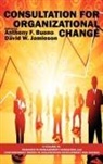 Anthony F. Buono, David W. Jamieson - Consultation for Organizational Change (Hc)