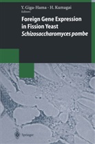 Yuk Giga-Hama, Yuko Giga-Hama, Kumagai, Kumagai, Hiromichi Kumagai - Foreign Gene Expression in Fission Yeast: Schizosaccharomyces pombe