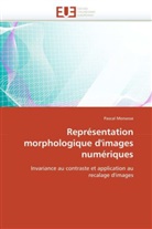 Pascal Monasse, Monasse-P - Representation morphologique d