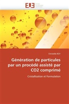 Christelle Roy, Roy-C - Generation de particules par un