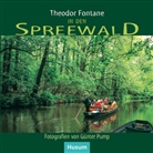 Theodor Fontane, Günter Pump - In den Spreewald