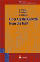 T. Fukuda, Tsuguo Fukuda, P. Rudolph, Pete Rudolph, Peter Rudolph, S. Uda... - Fiber Crystal Growth from the Melt