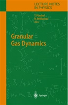 N. Brillantow, Nikolai Brilliantov, Nikolai V. Brilliantov, T. Pöschel, Thorste Pöschel, Thorsten Pöschel... - Granular Gas Dynamics