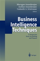 Cadambi A Srinivasan, A. Anandarajan, Asoka Anandarajan, Asokan Anandarajan, M. Anandarajan, Murugan Anandarajan... - Business Intelligence Techniques