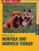 Wilfried Peper - Norfolk und Norwich Terrier