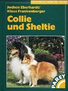 Eberhard, Joche Eberhardt, Jochen H. Eberhardt, Frankenberger, Klaus Frankenberger - Collie und Sheltie