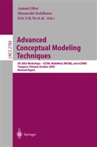 Antoni Olivé, Masatoshi Yoshikawa, Eric S. K. Yu, Eric S.K. Yu - Advanced Conceptual Modeling Techniques