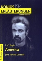 T. C. Boyle - T. C. Boyle 'América'