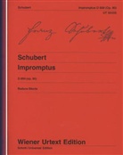 Paul Badura-Skoda, Ulrich Leisinger - Impromptus