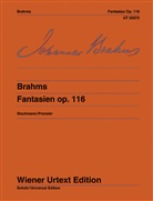 Johannes Brahms, Bernhar Stockmann, Bernhard Stockmann - Fantasien