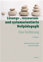 Johannes Gruntz-Stoll, Elsbeth Zurfluh - Lösungs-, ressourcen- und systemorientierte Heilpädagogik