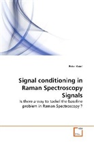 Peter Knief - Signal conditioning in Raman Spectroscopy Signals