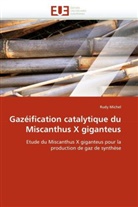 Rudy Michel, Michel-r - Gazeification catalytique du