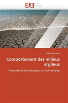 Thibault Lemaire, Lemaire-T - Comportement des milieux argileux