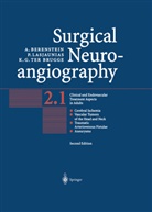 Alejandr Berenstein, Alejandro Berenstein, K brugge, Karel G. brugge, Karel G. ter Brugge, Pierr Lasjaunias... - Surgical Neuroangiography, 5 Vol. - 2: Surgical Neuroangiography, 2 Vols.