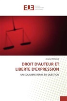 Amélie Pernelle, Pernelle-a - Droit d auteur et liberte d