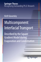 Kirill Glavatskiy - Multicomponent Interfacial Transport