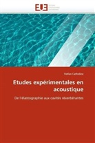 Stefan Catheline, Catheline-S - Etudes experimentales en acoustique