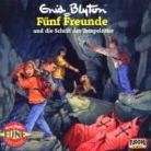 Enid Blyton - Fünf Freunde 48 und die Schrift der Tempelritter. CD (Audiolibro)