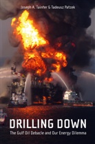 Tadeusz W Patzek, Tadeusz W. Patzek, Joseph Tainter, Joseph A Tainter, Joseph A. Tainter - Drilling Down