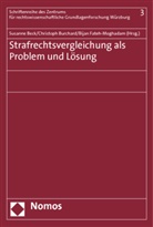 Susanne Beck, Christoph Burchard, Bijan Fateh-Moghadam - Strafrechtsvergleichung als Problem und Lösung