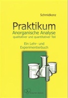 Bertram Schmidkonz - Praktikum Anorganische Analyse